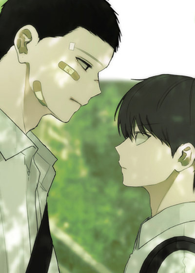 不良少年饲养手册