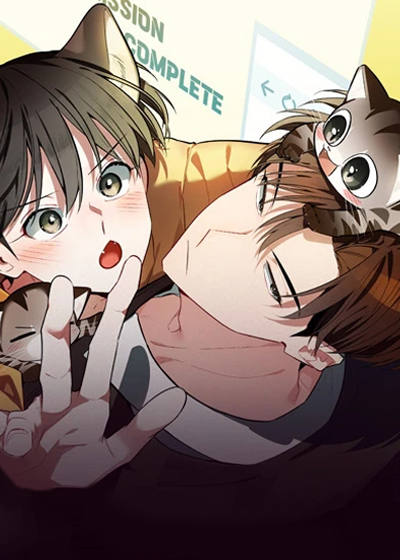 野猫的命定人类