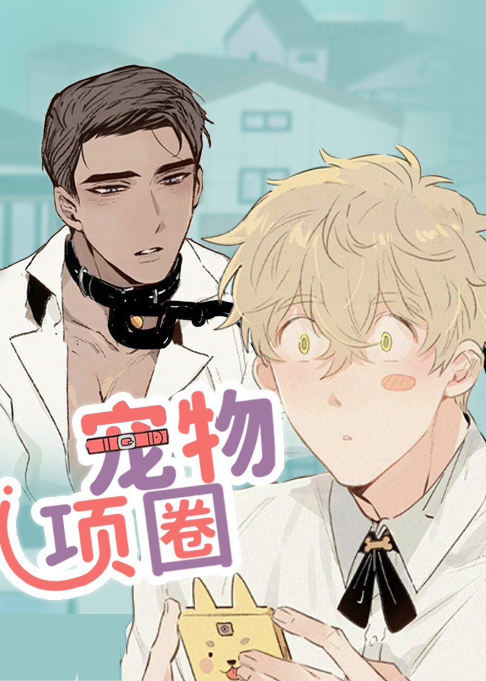宠物项圈